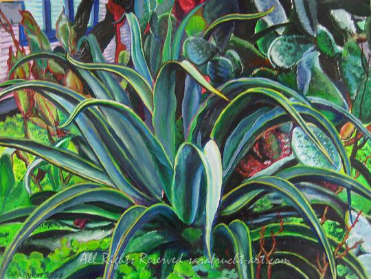 Small Agave
