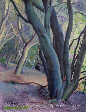 Forest Light