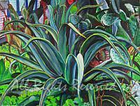 Small Agave