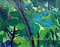 Branches and Leaves