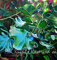 Ivy